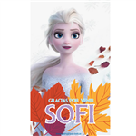 Stickers rect. gdes. Frozen 16u Pers